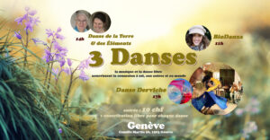 3 DANSES FB1 300x156